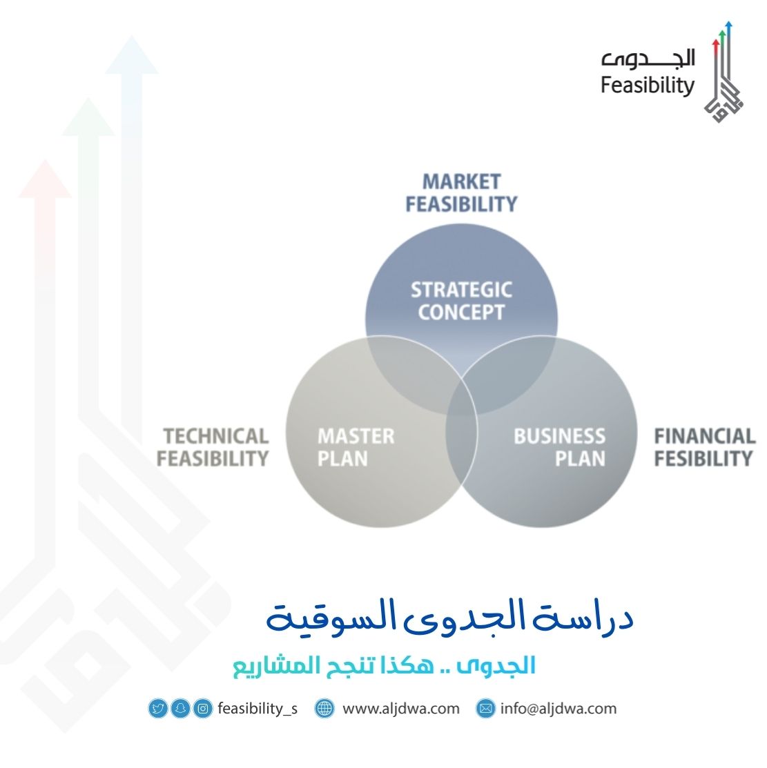 دراسة الجدوى السوقية