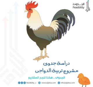 دراسة جدوى مشروع تربية الدواجن