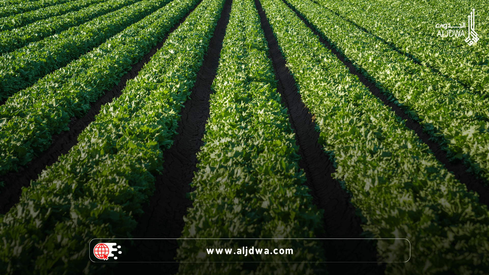دراسة جدوى مشروع سياحي ريف ترفيهي في ضواحي الطائف أو أبها أو الباحة"organic farm activity" 