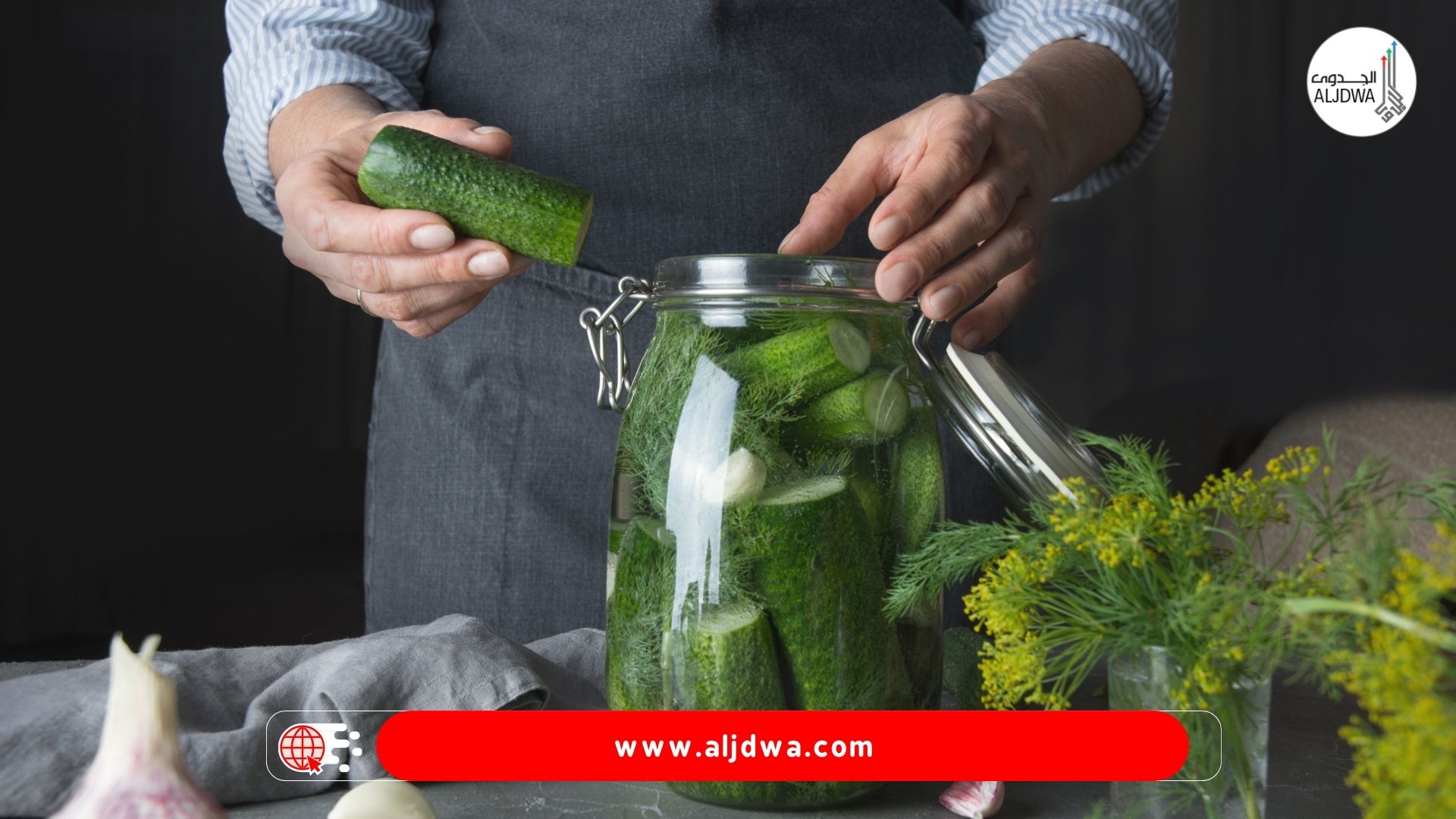 دراسة جدوى مصانع مخللات.. من الفكرة إلى خطوط الإنتاج الناجحة