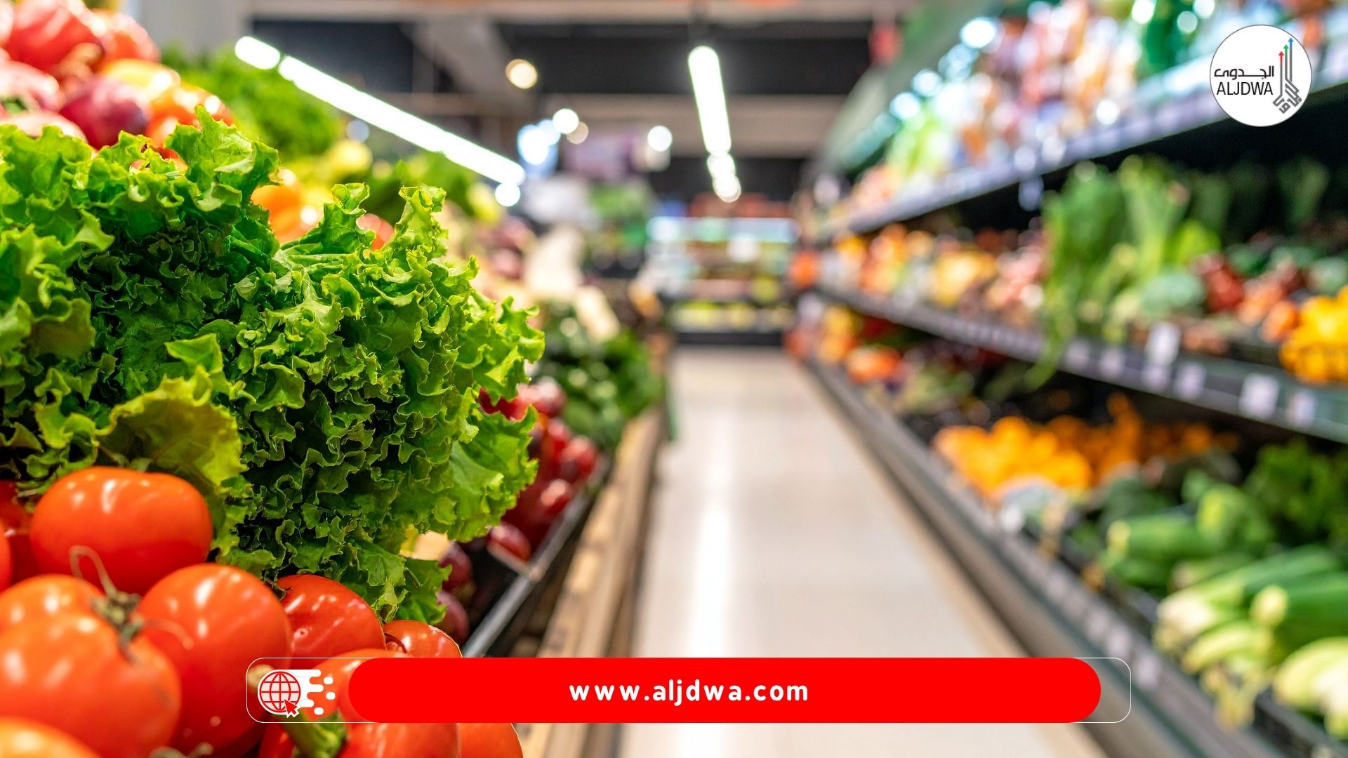 دراسة جدوى مشروع سوبر ماركت.. مشروع أساسي بدخل يومي ثابت