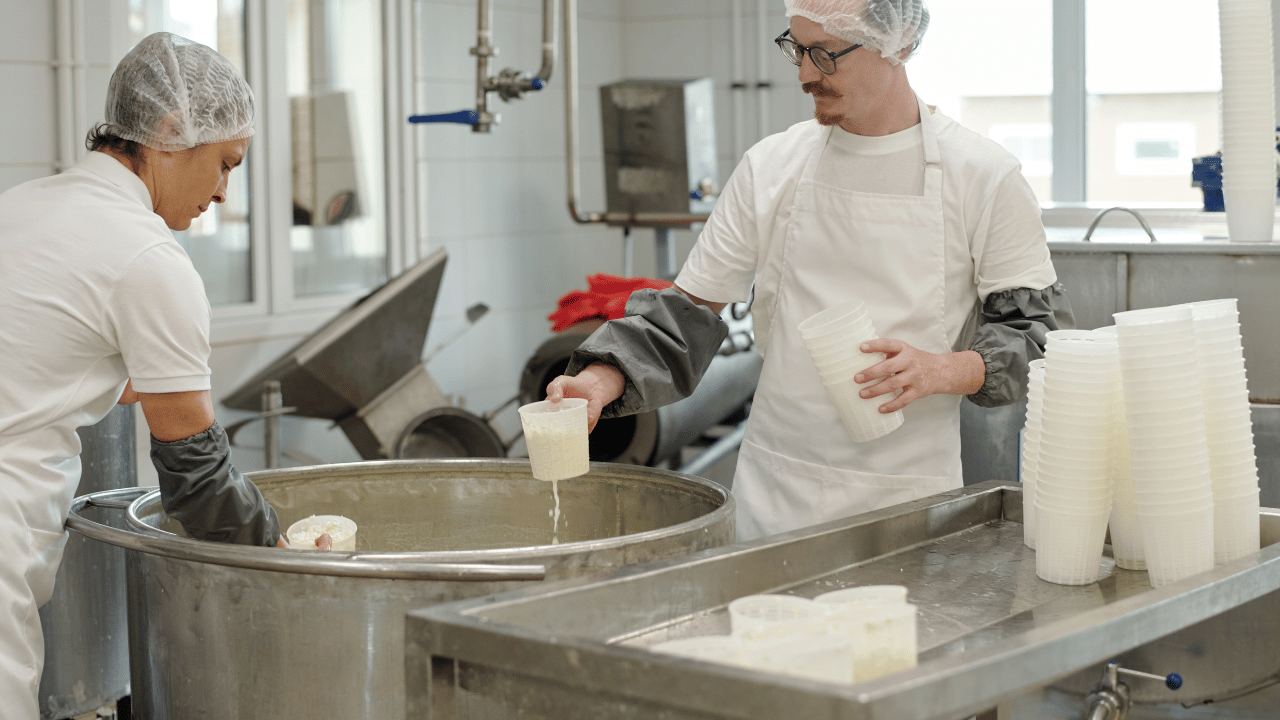 مشروع ورق عنب: دراسة جدوى شاملة من الإنتاج إلى التسويق